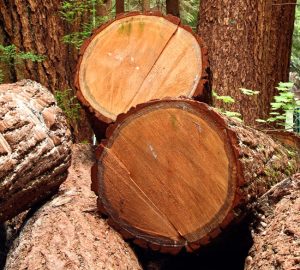 legno per mobili | mobili in legno