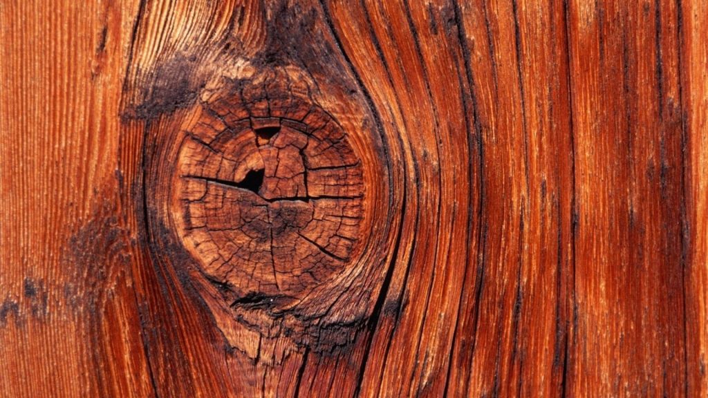 Come riconoscere i legni: il ciliegio - Artedelrestauro.it