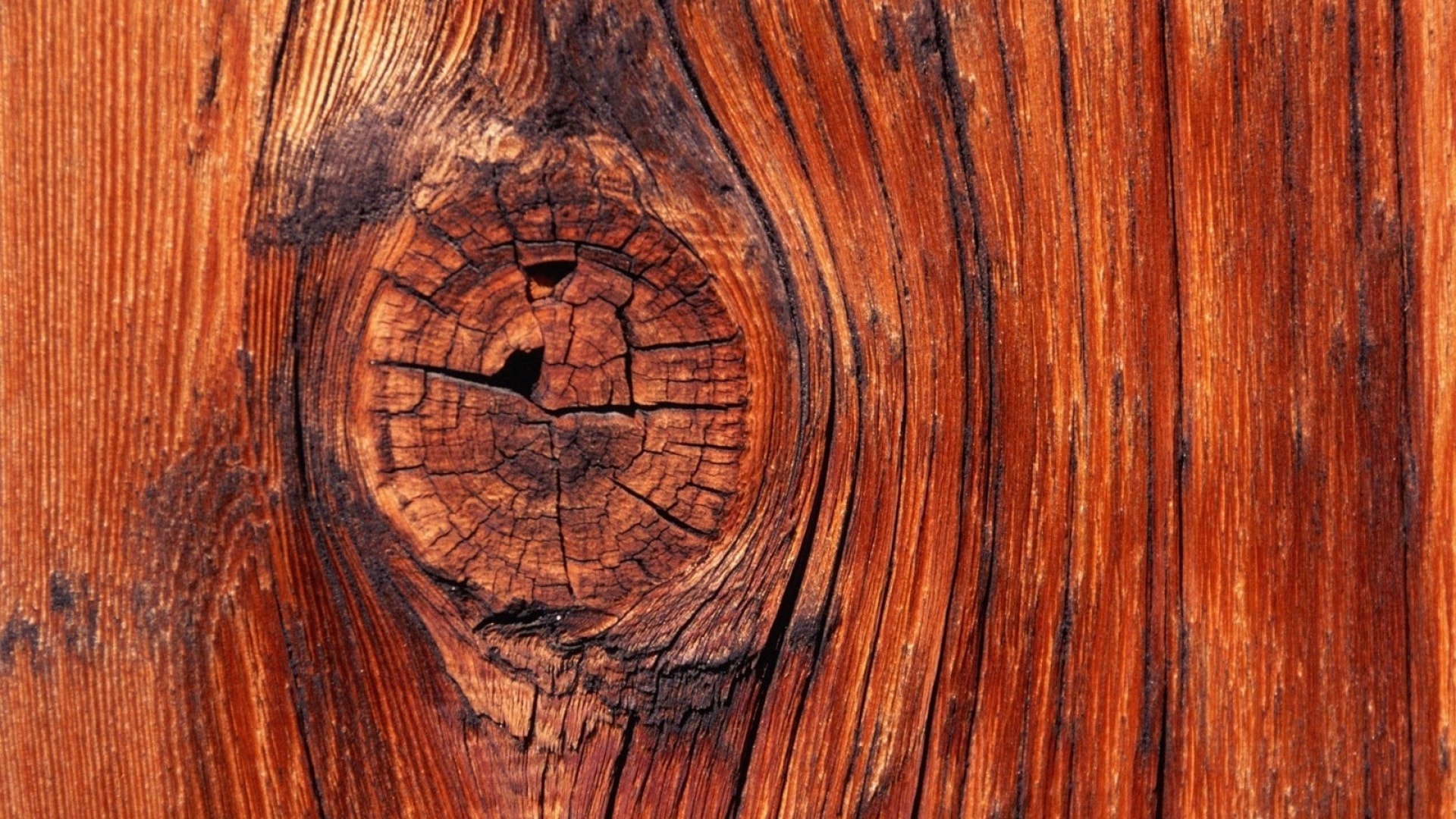 Guida alla scelta del legno per mobili parte 10: legno ciliegio